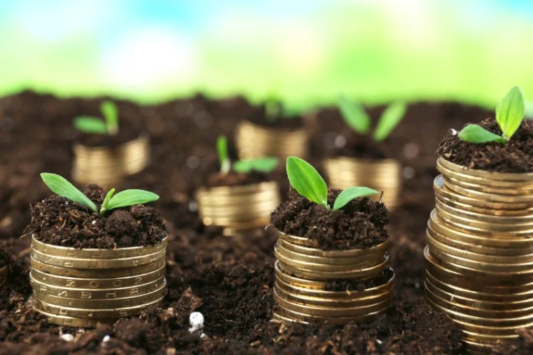 Savings and retail activity supported by microfinance services
